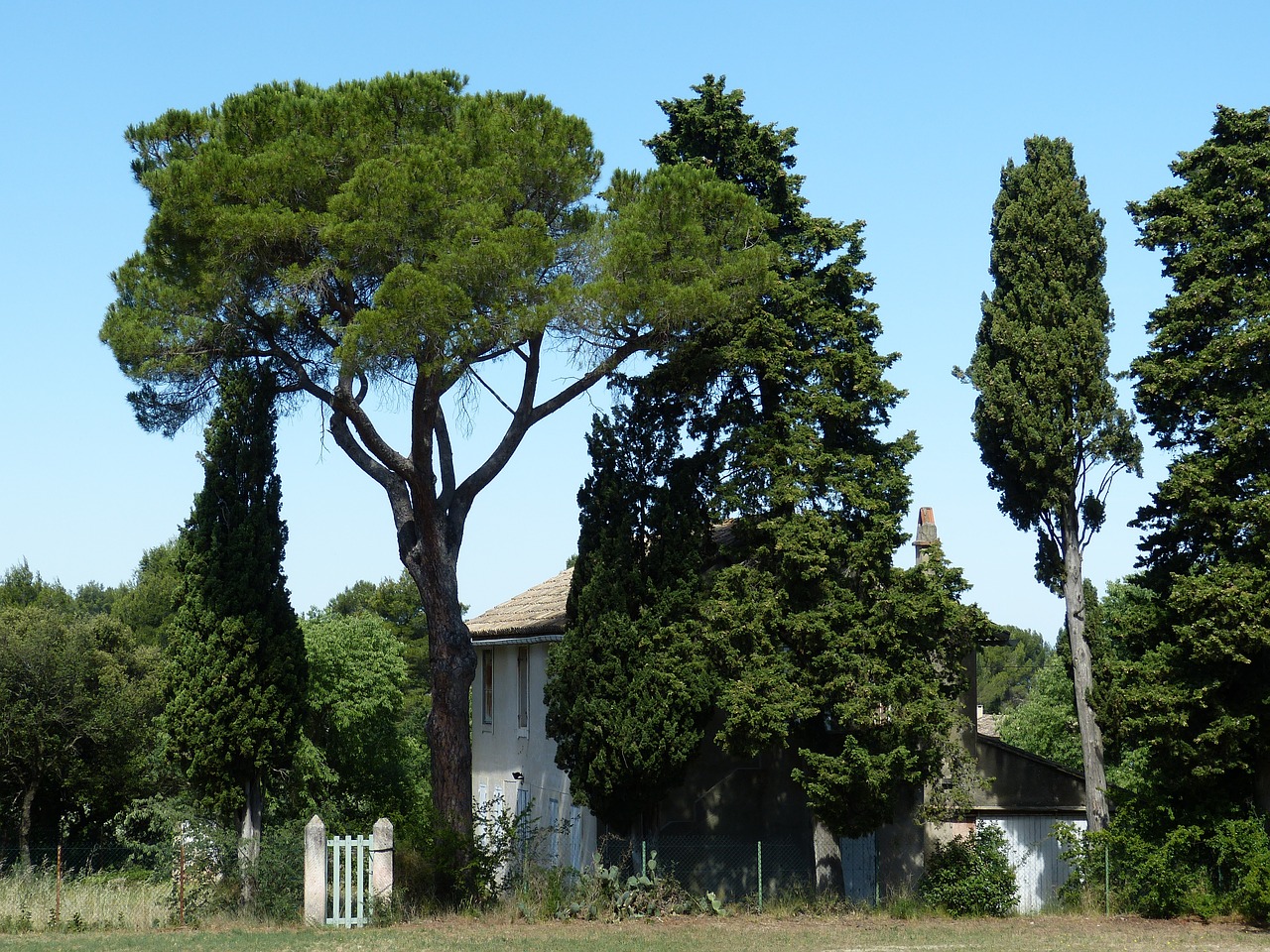 provence rhône france free photo