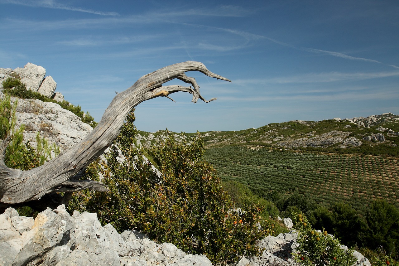 provence alpilles valley of the fox free photo