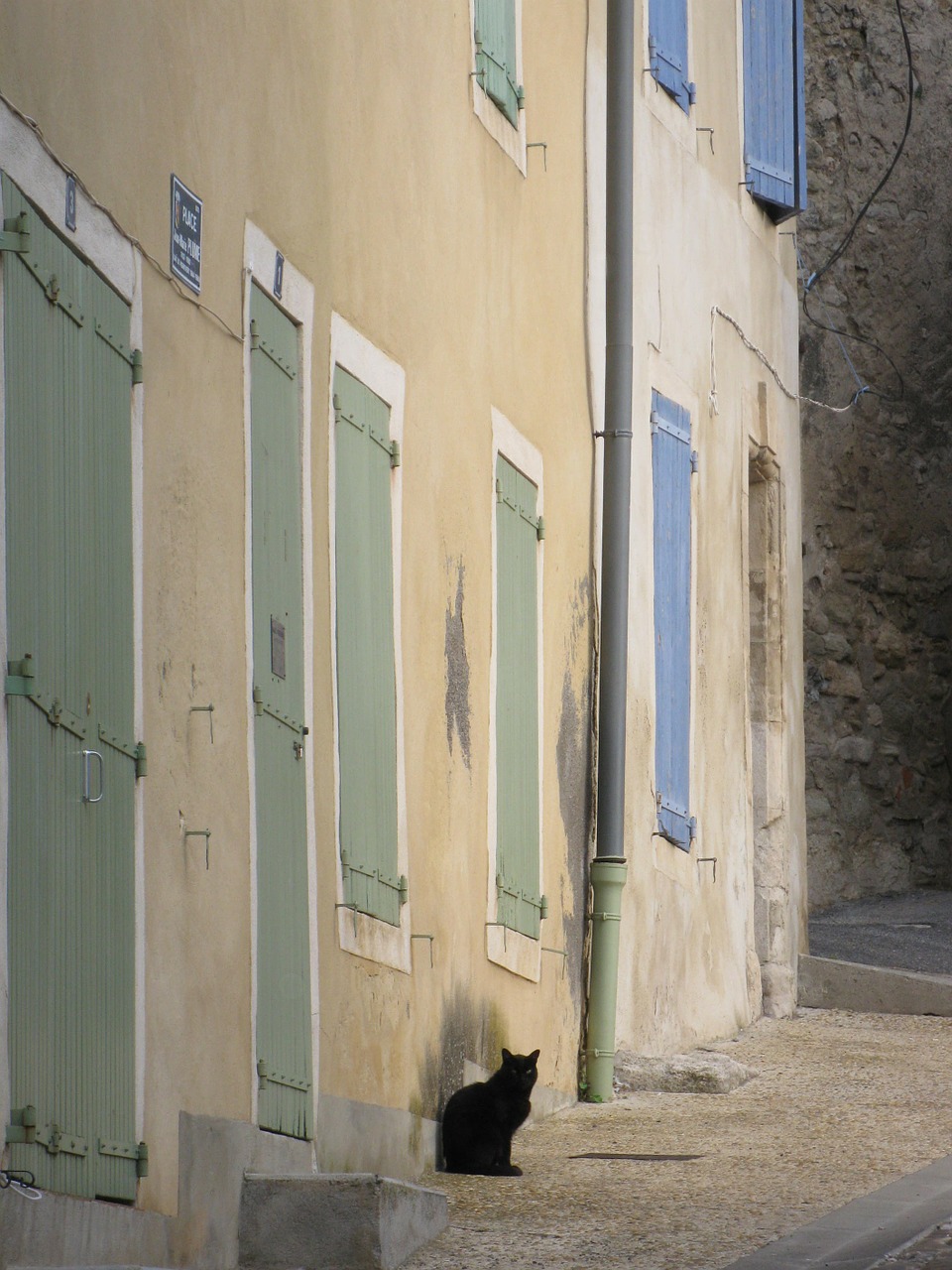 provence village cat free photo
