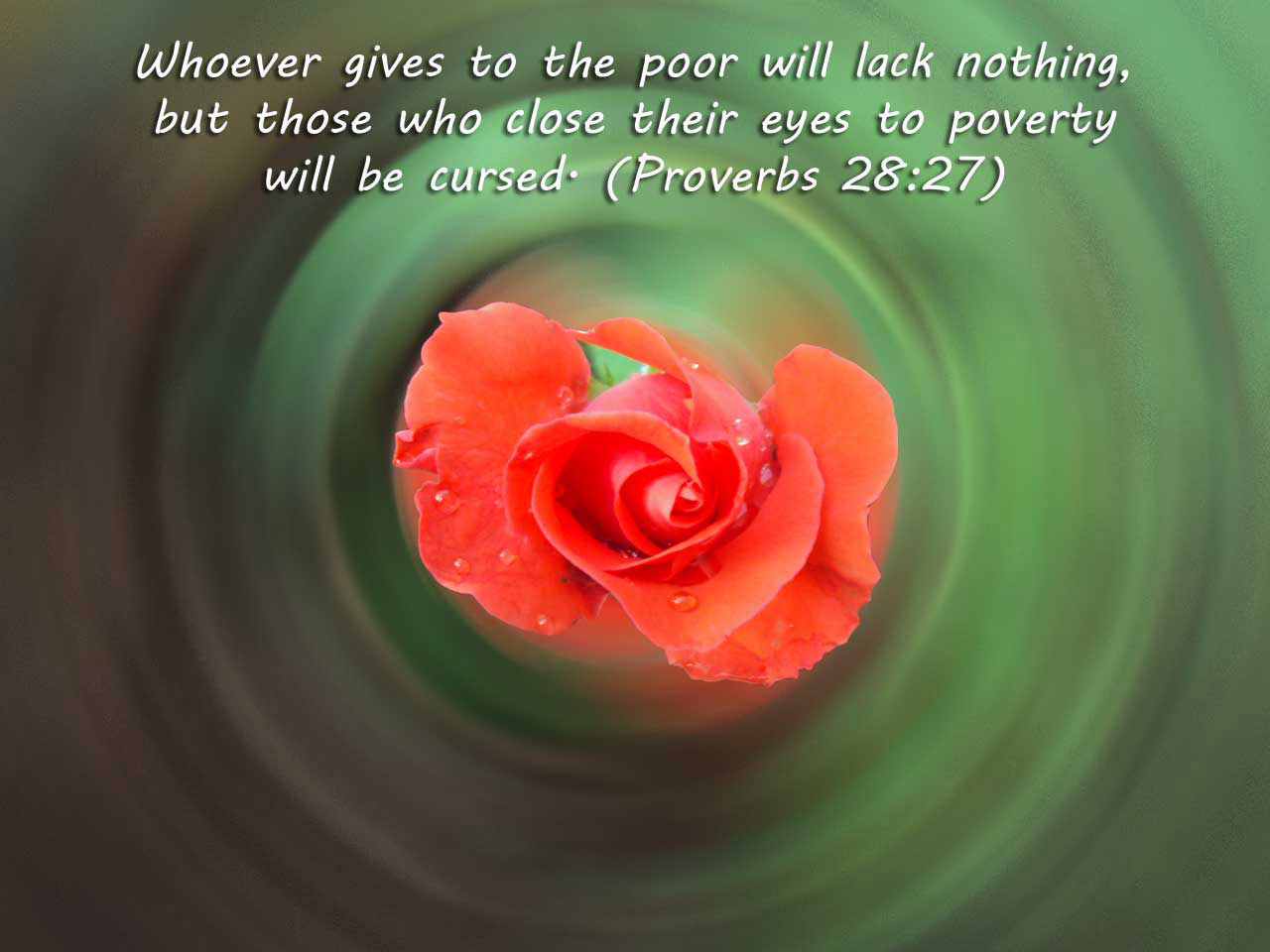 wallpapers christian proverbs free photo