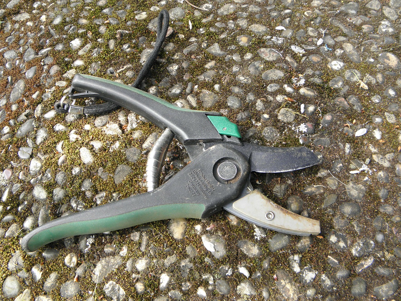pruner scissors thick free photo