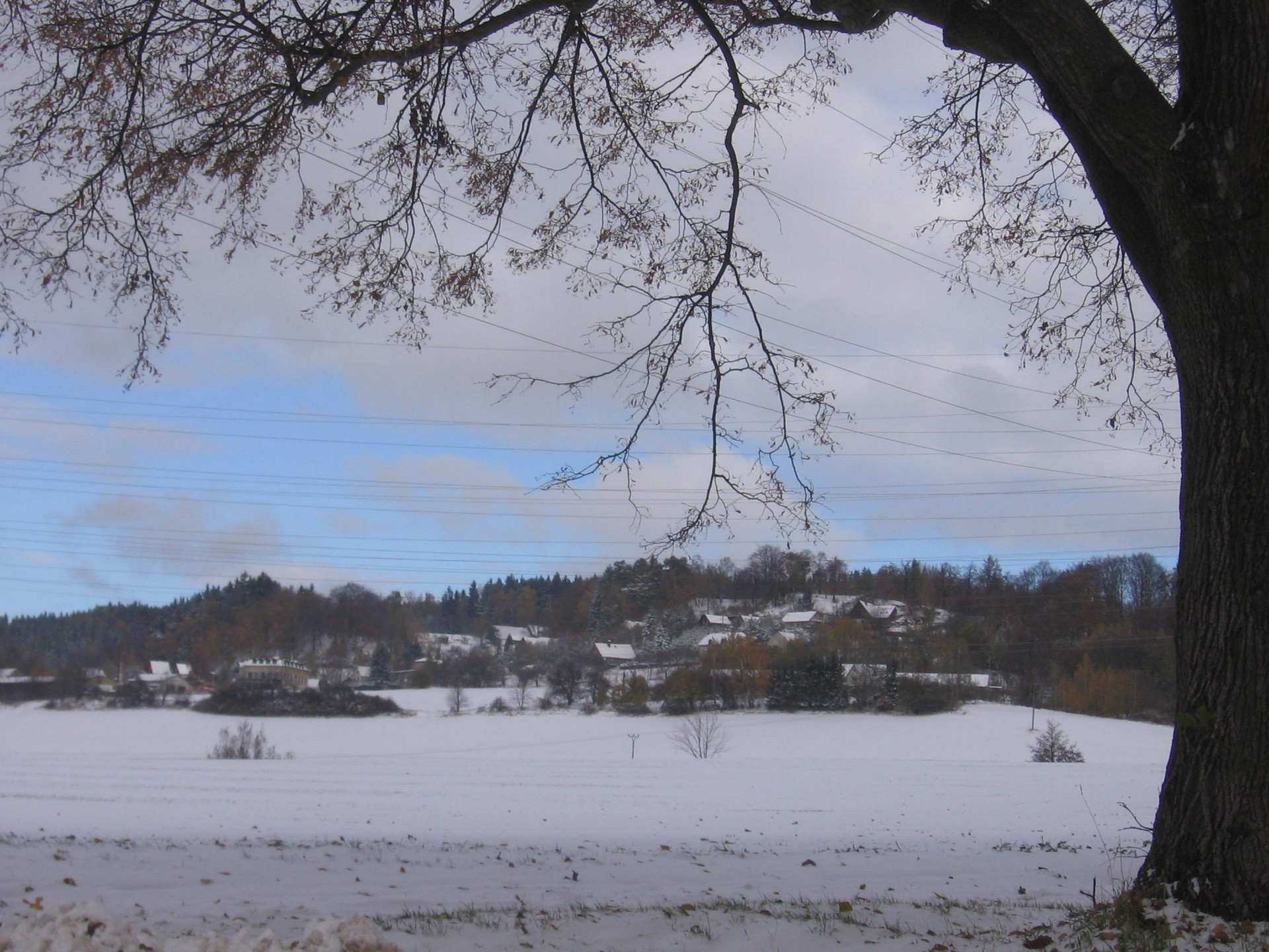 snow landscape tree free photo