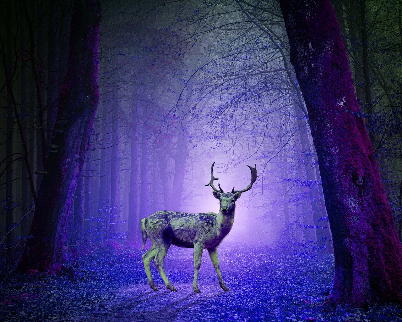 psychedelic  deer  art free photo