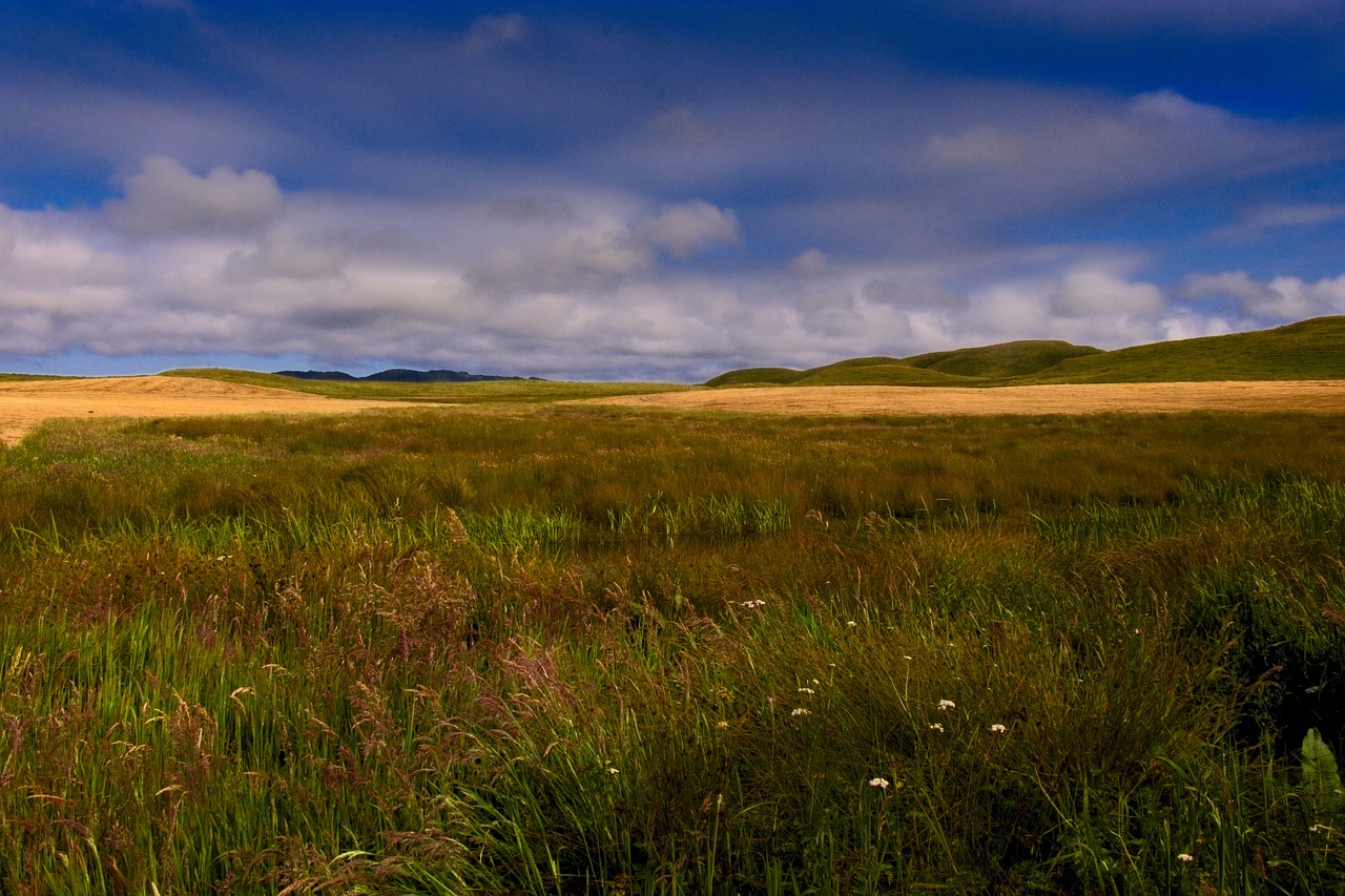 pt reyes west marin free photo