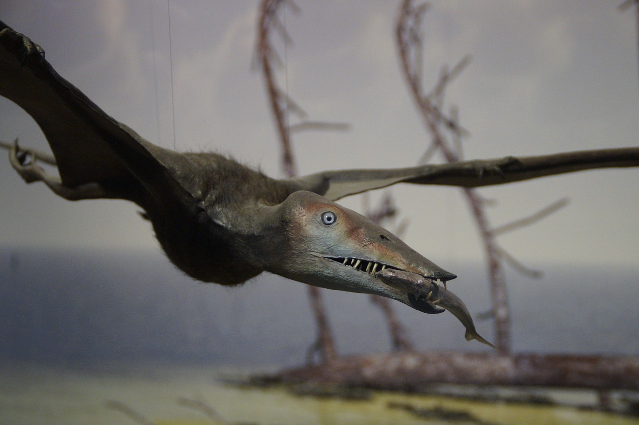 pterosaur fishing prey free photo
