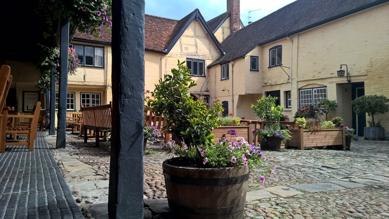 pub courtyard plant decoration free photo