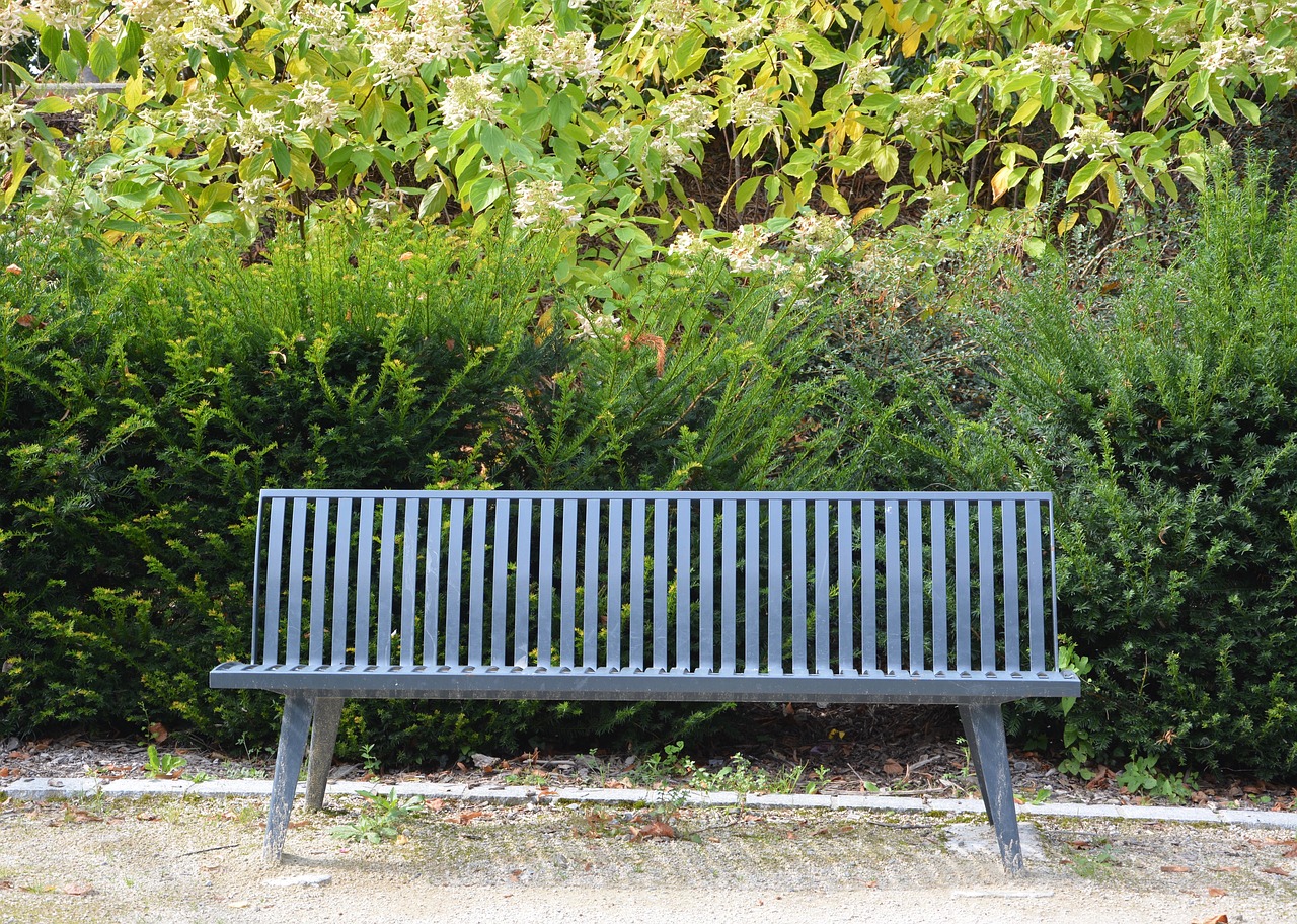 public bench sitting relax free photo