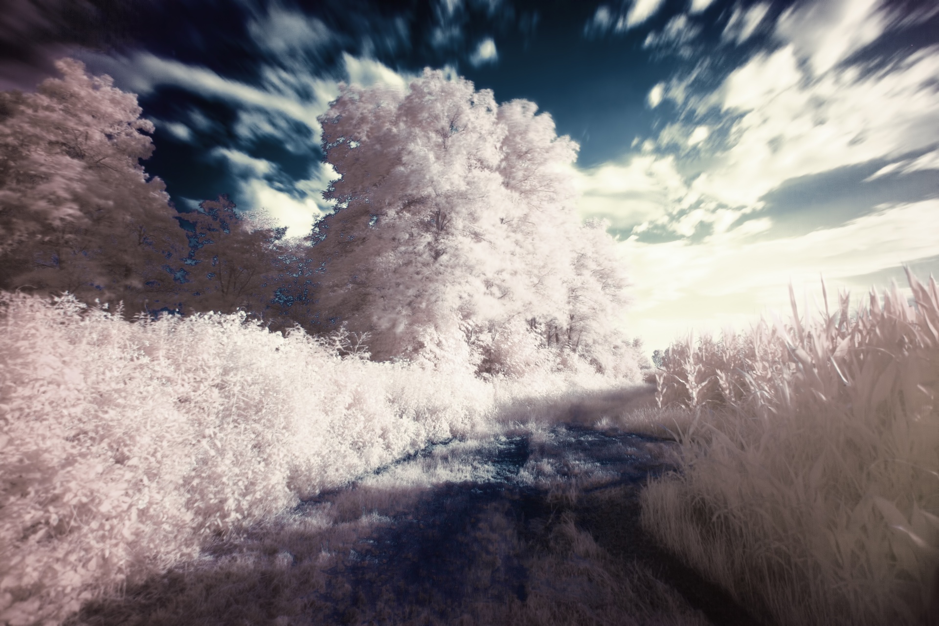 infrared landscape white free photo