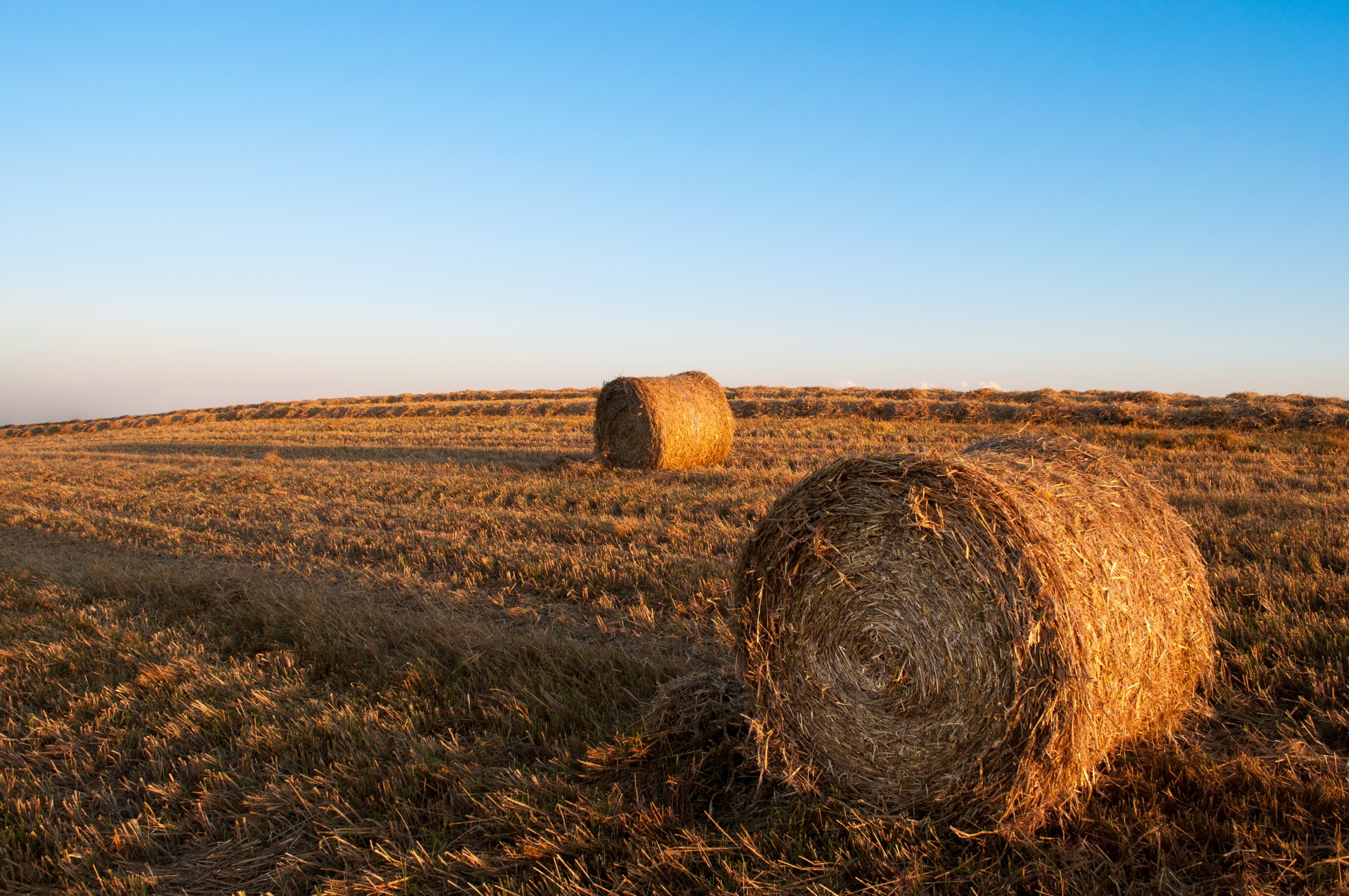 straw bales hay field free photo