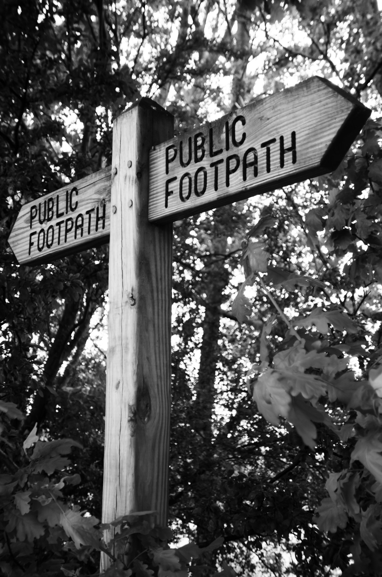 public footpath direction free photo