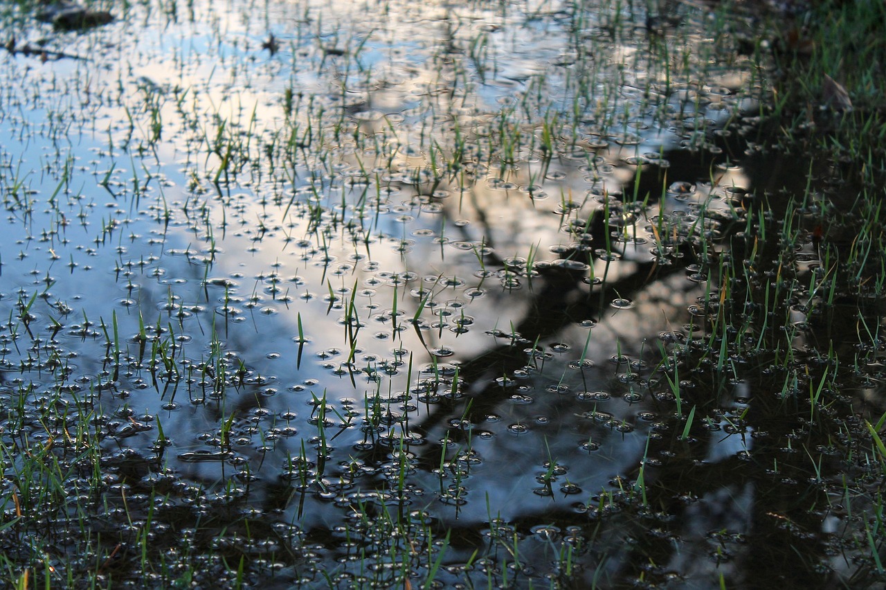 puddle reflection sky free photo