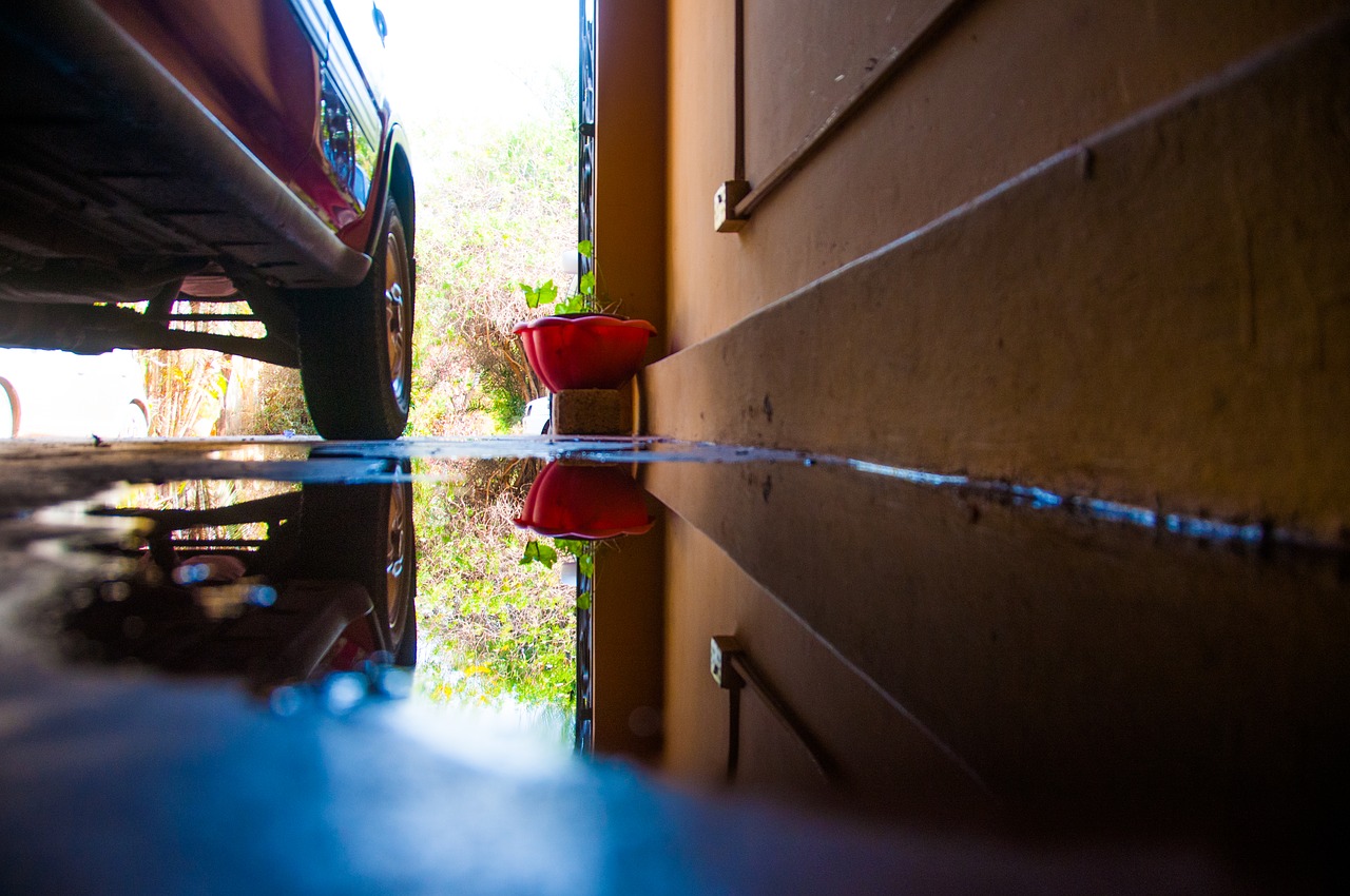 puddle photography life free photo