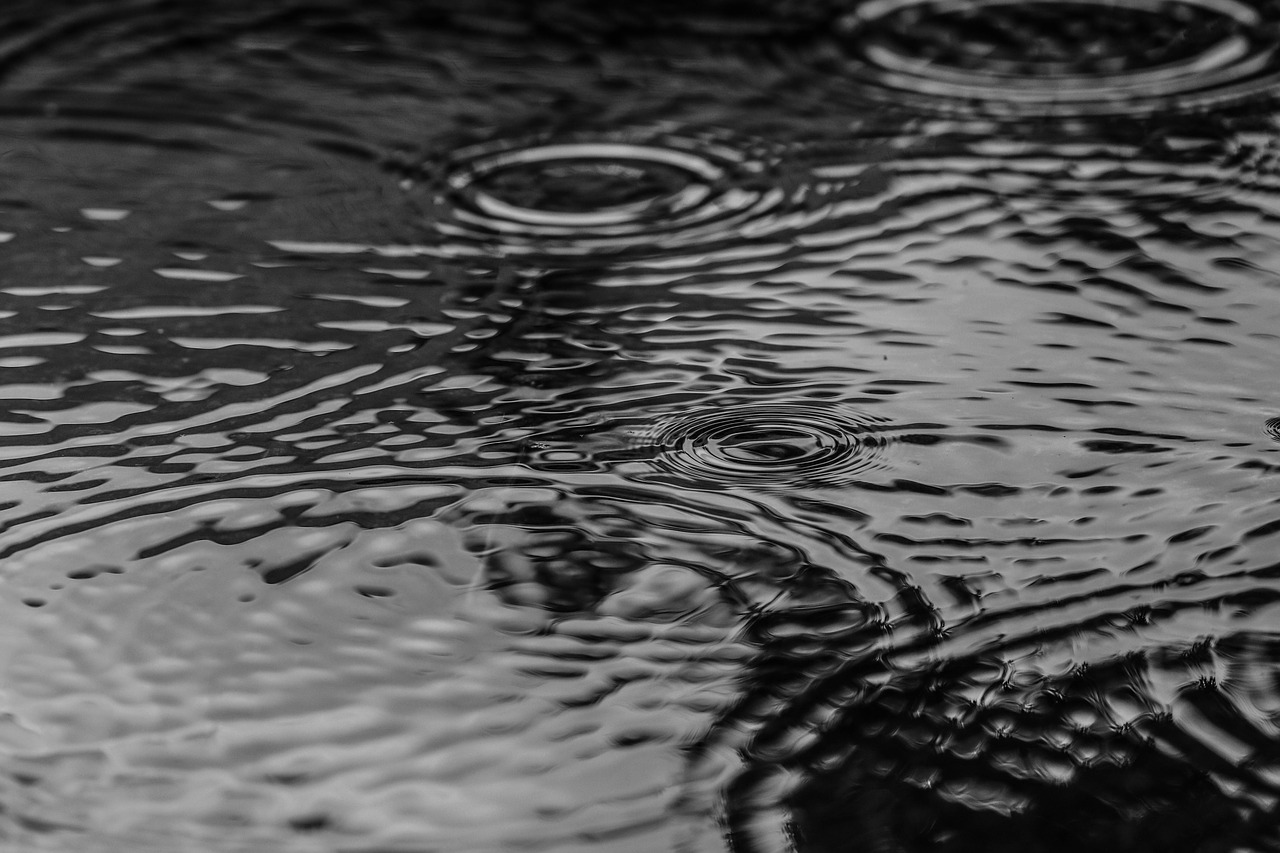 puddle water rain free photo