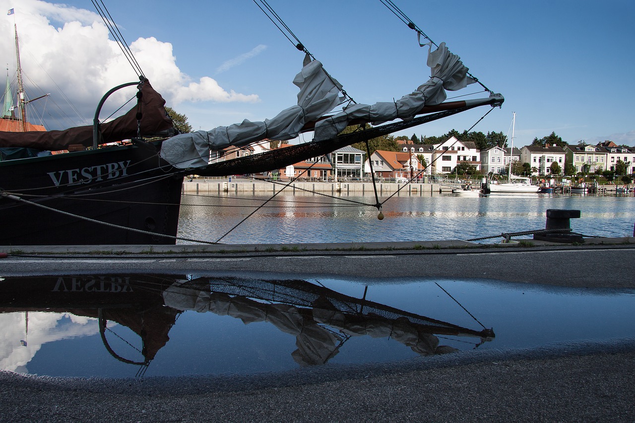 puddle mirroring water free photo