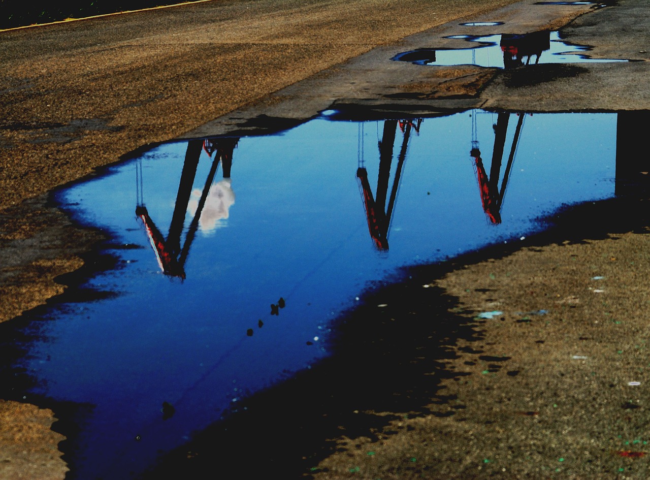 puddle water cranes free photo