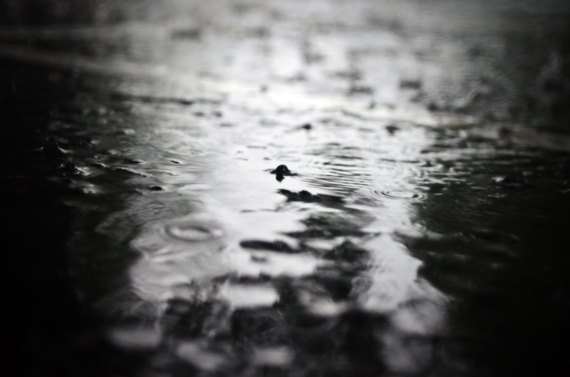 puddle rain raindrops free photo