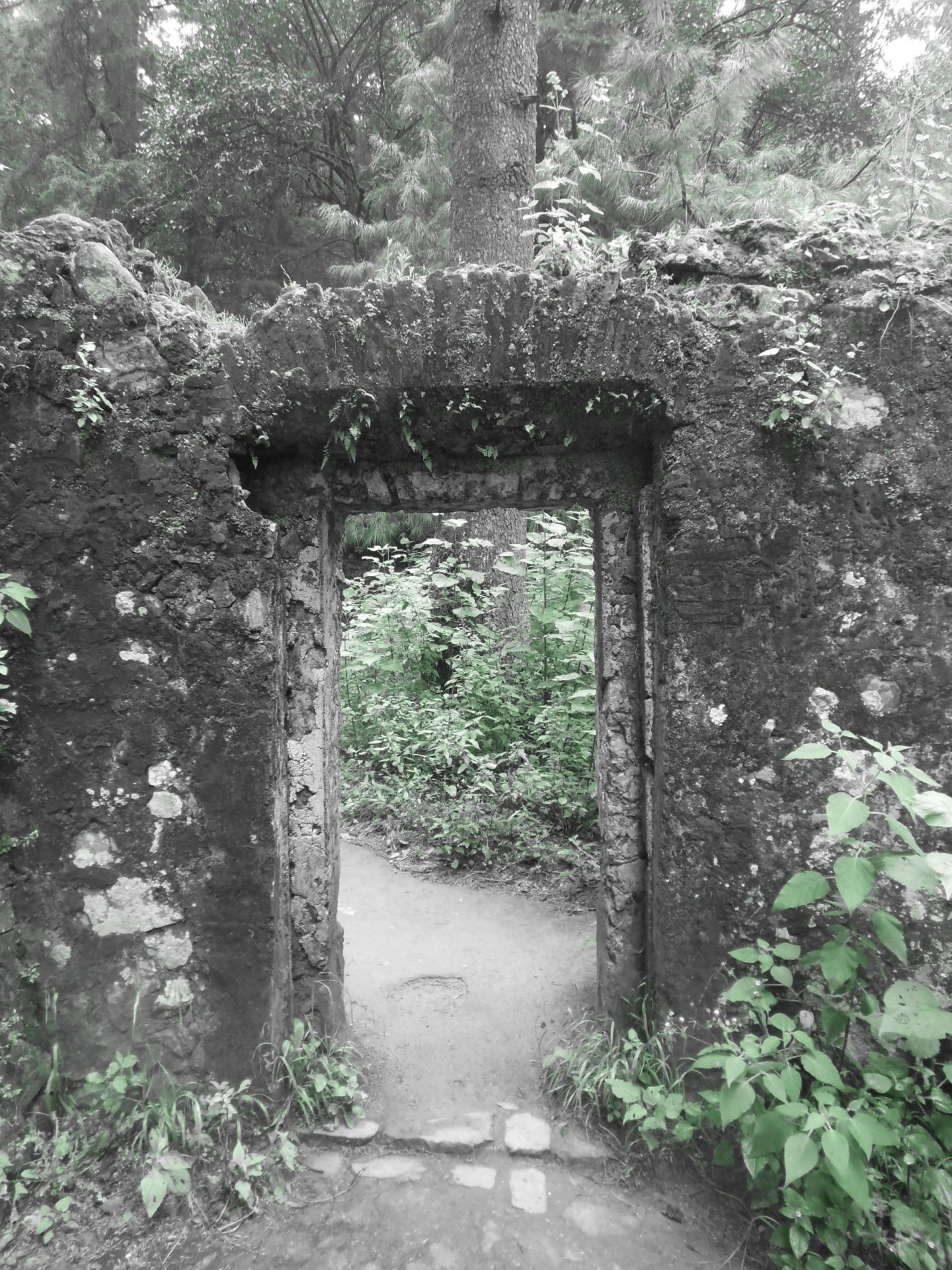 door garden door bw free photo