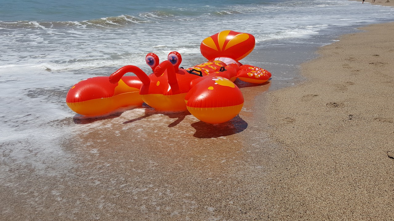 puerta vallarta mexico beach fun lobster beach toy free photo