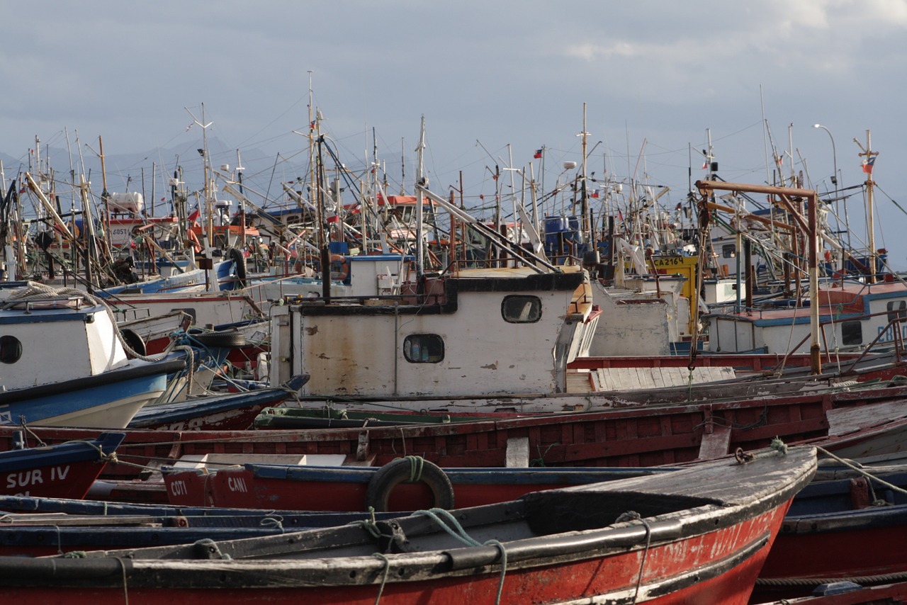 puerto natales boats fishermen free photo