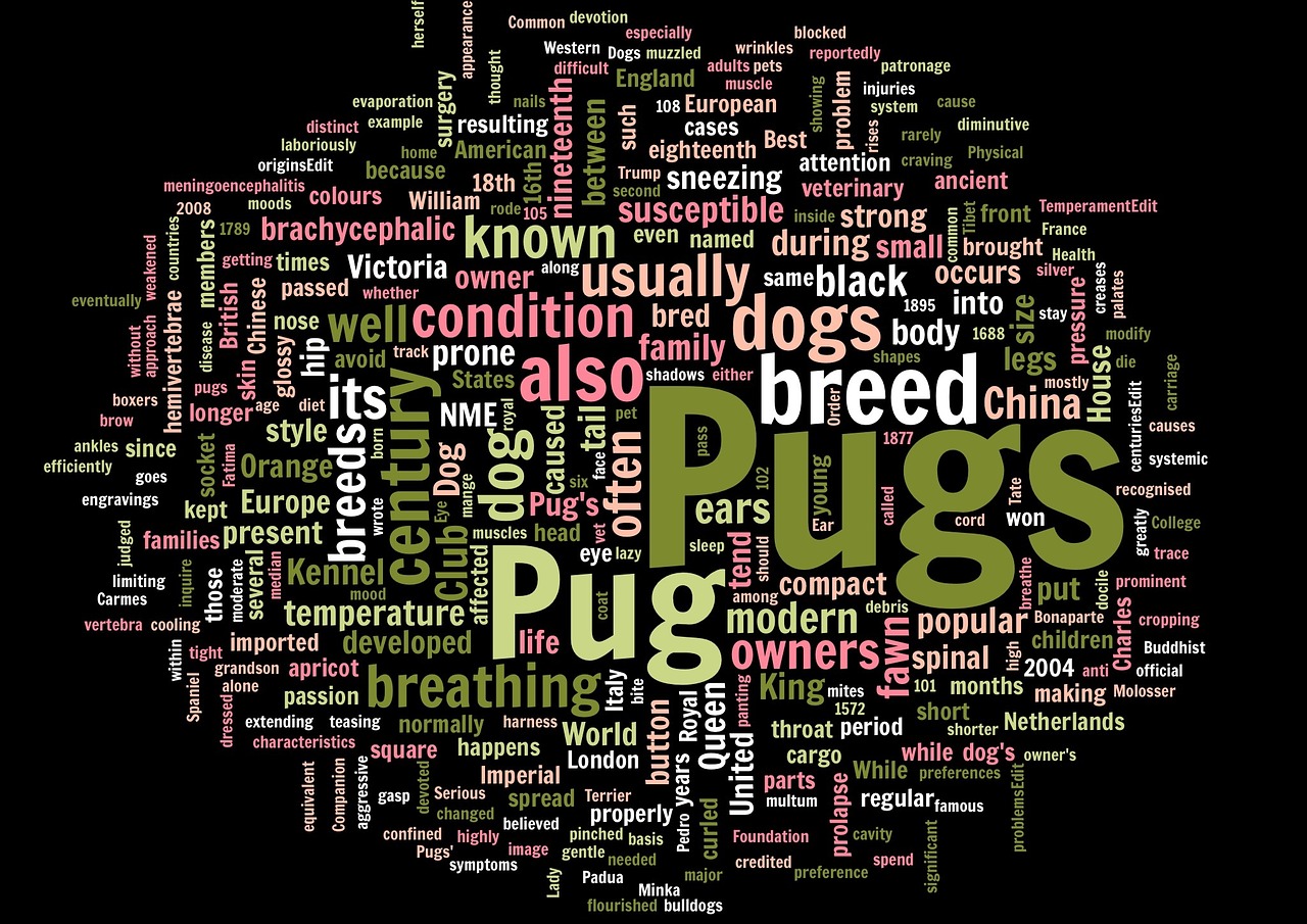 pug wordcloud words free photo