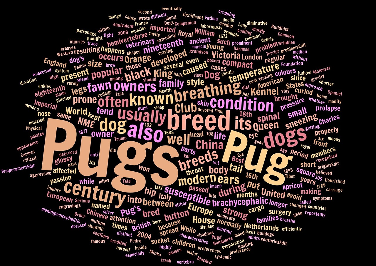 pugs wordcloud animal free photo