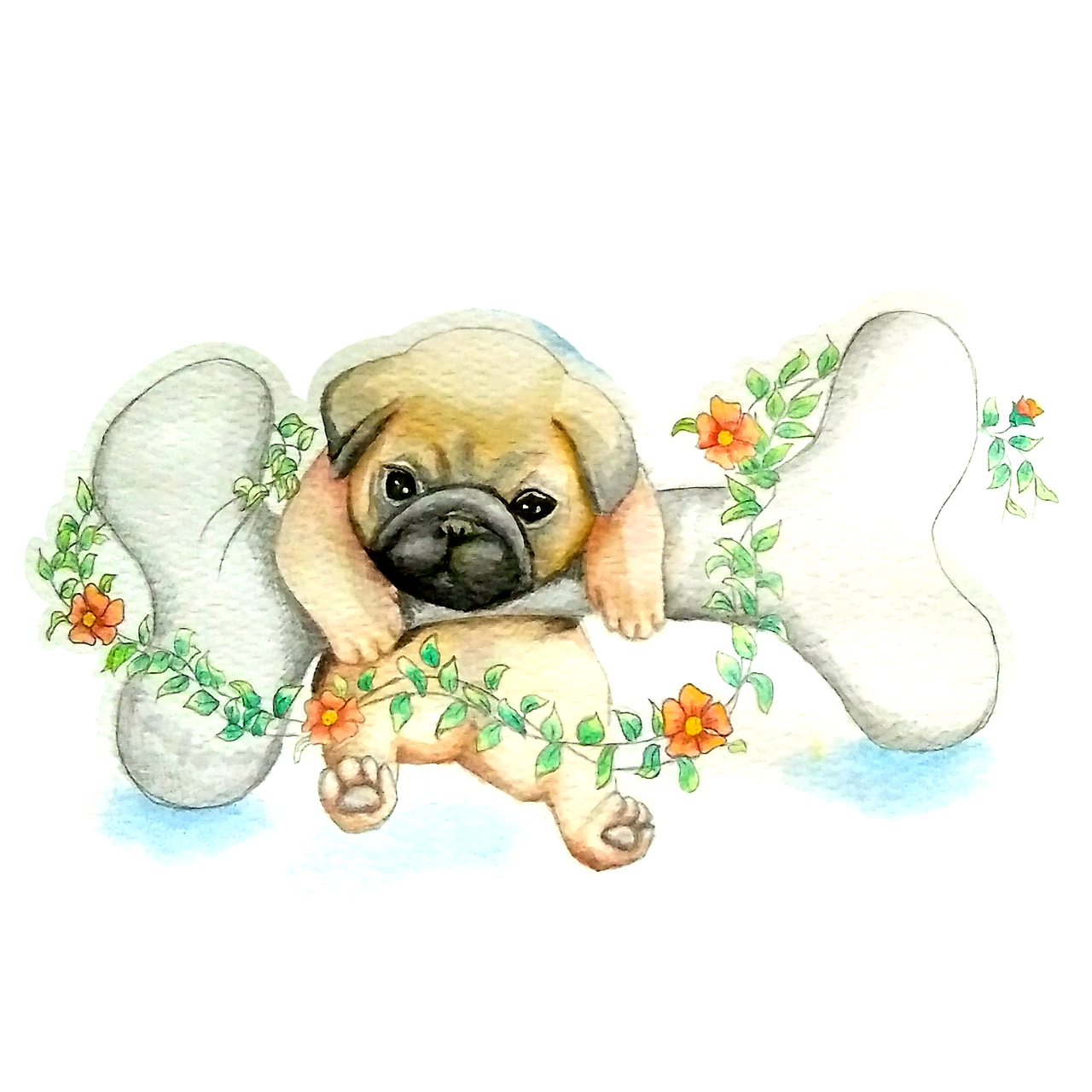 pug  watercolor  cute free photo