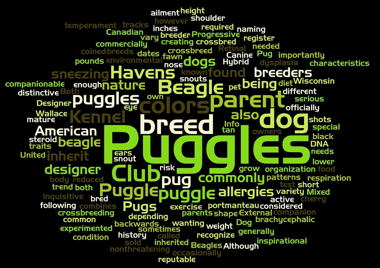 puggle word cloud pet free photo