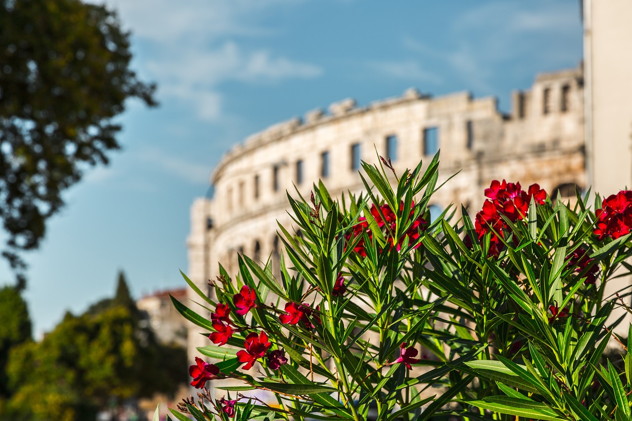 pula  croatia  colosseum free photo