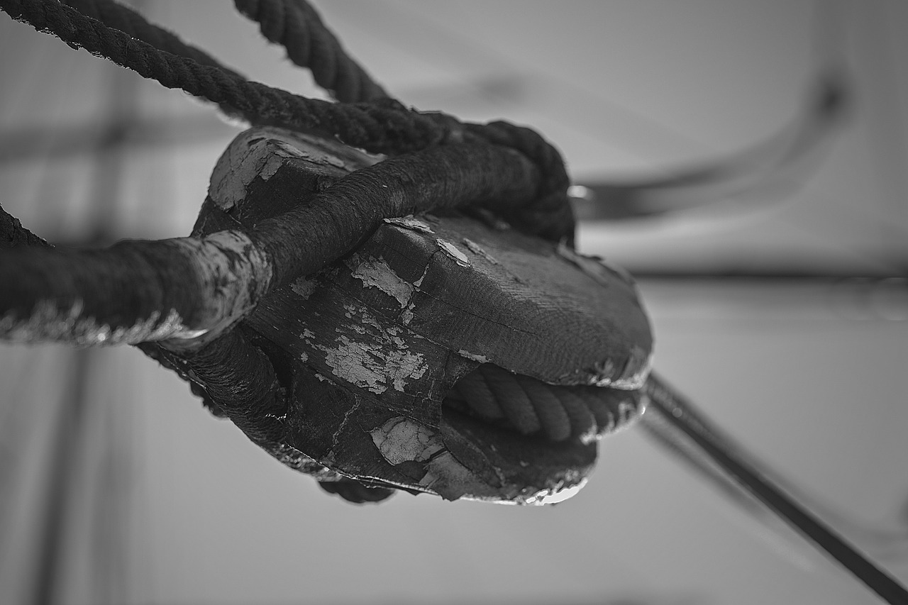 pulley black and white rope free photo