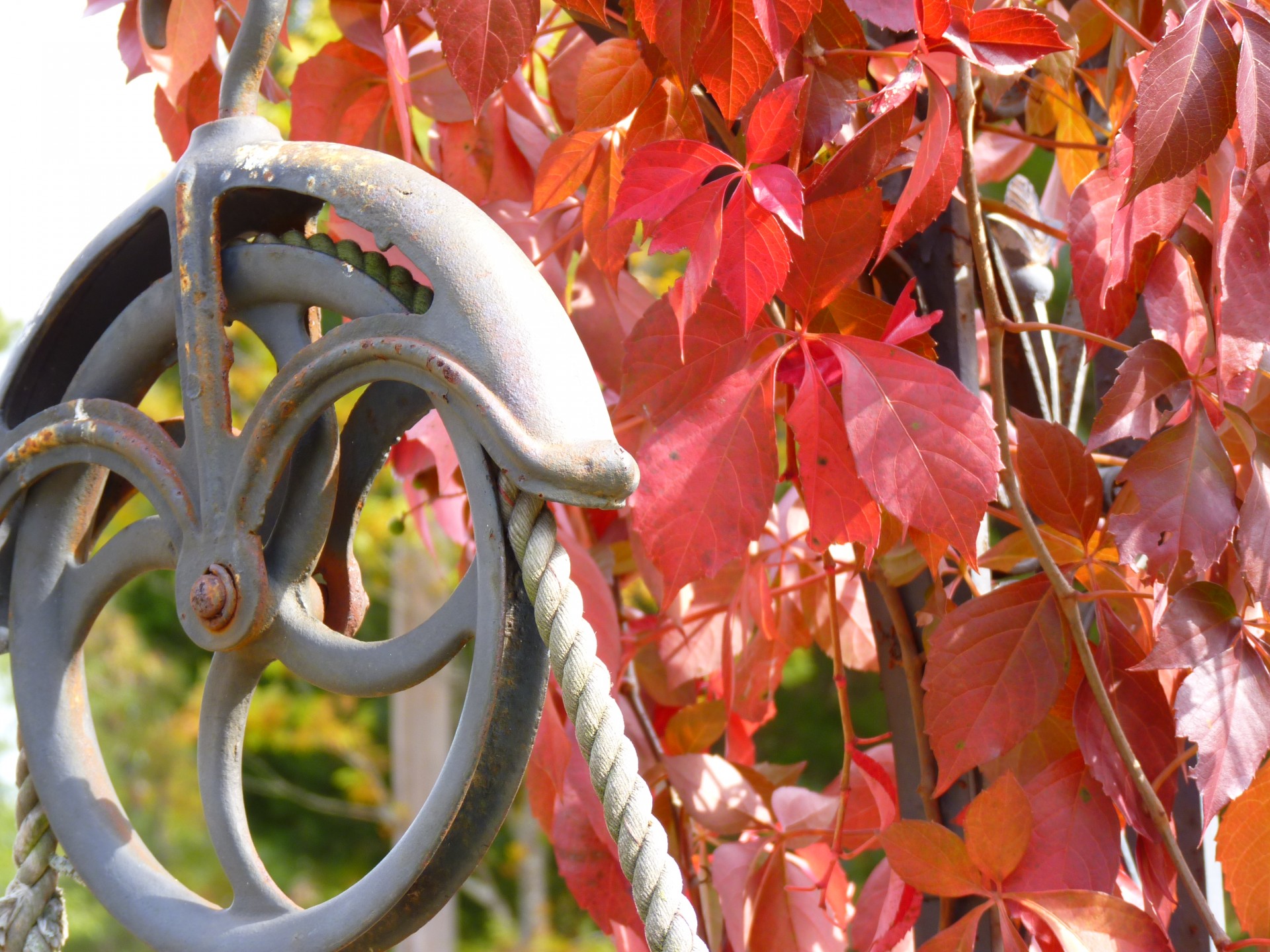 pulley well colors free photo