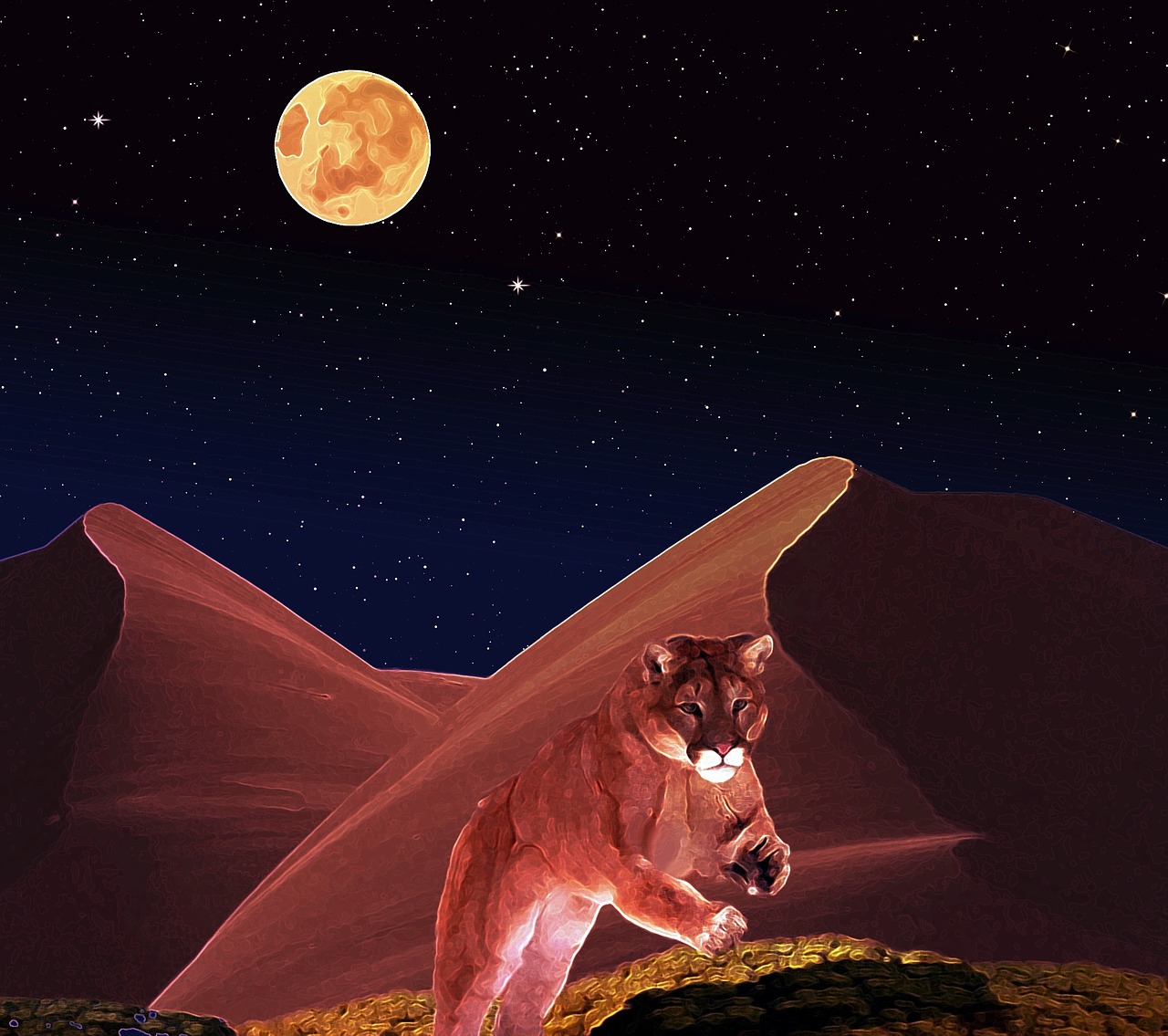 puma predator wildcat free photo