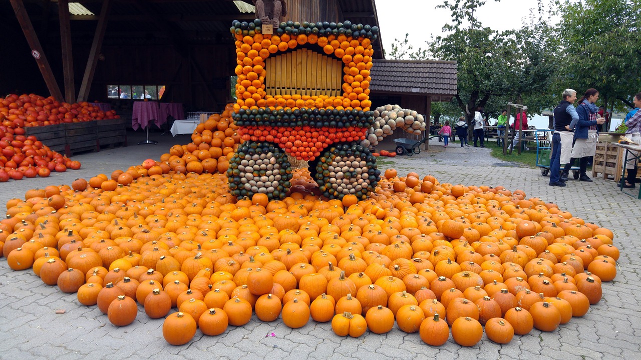 pumpkin thanksgiving harvest free photo