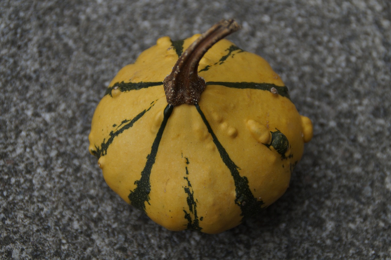 pumpkin gourd deco free photo