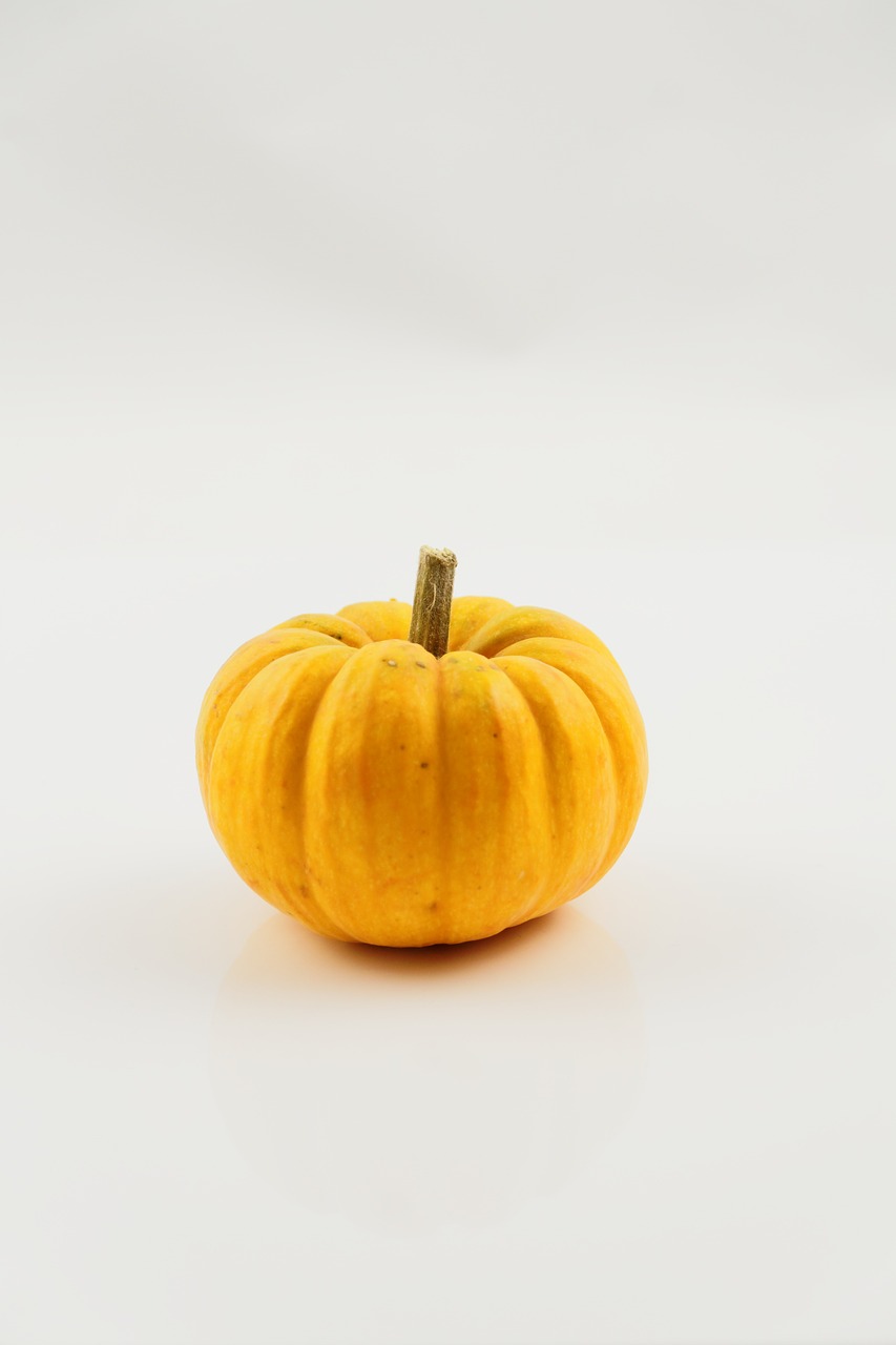 pumpkin vegetables autumn free photo