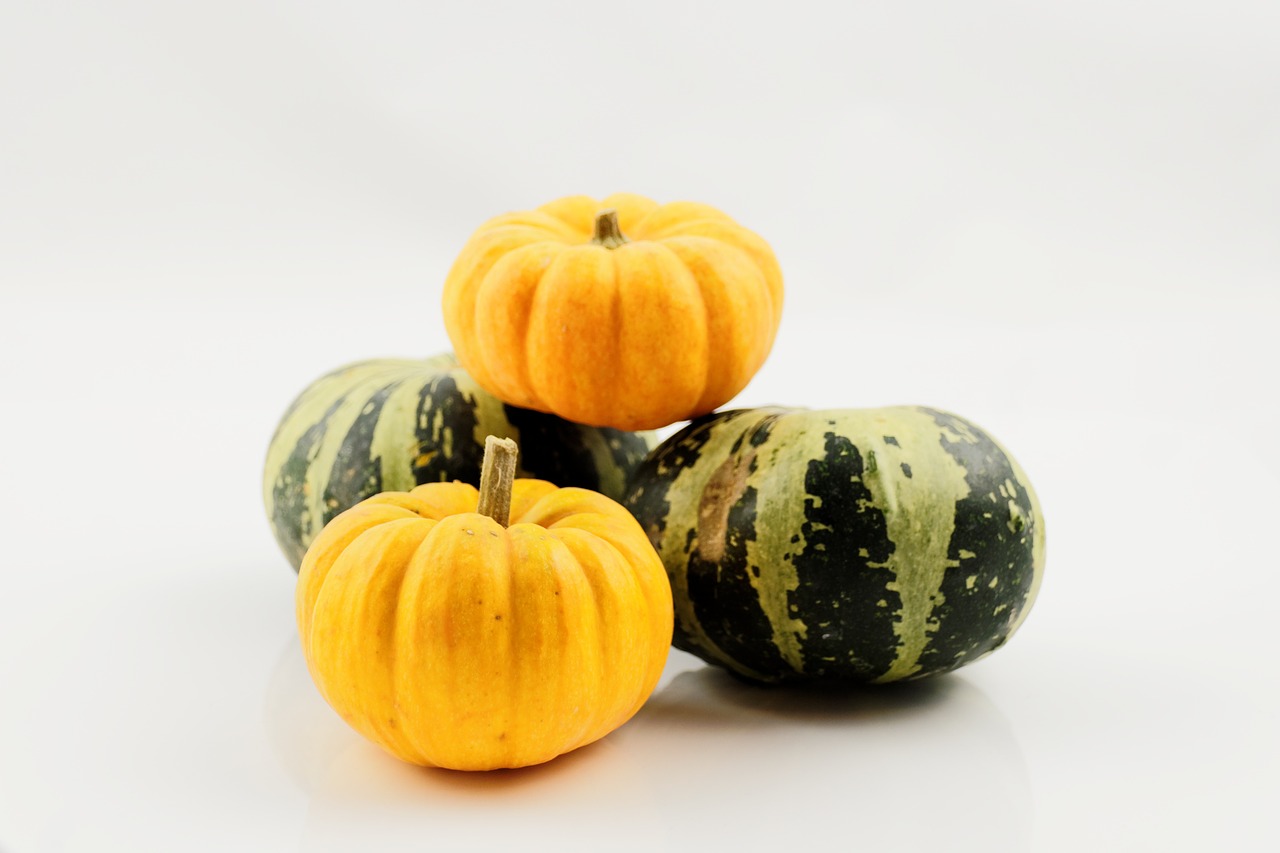 pumpkin vegetables autumn free photo