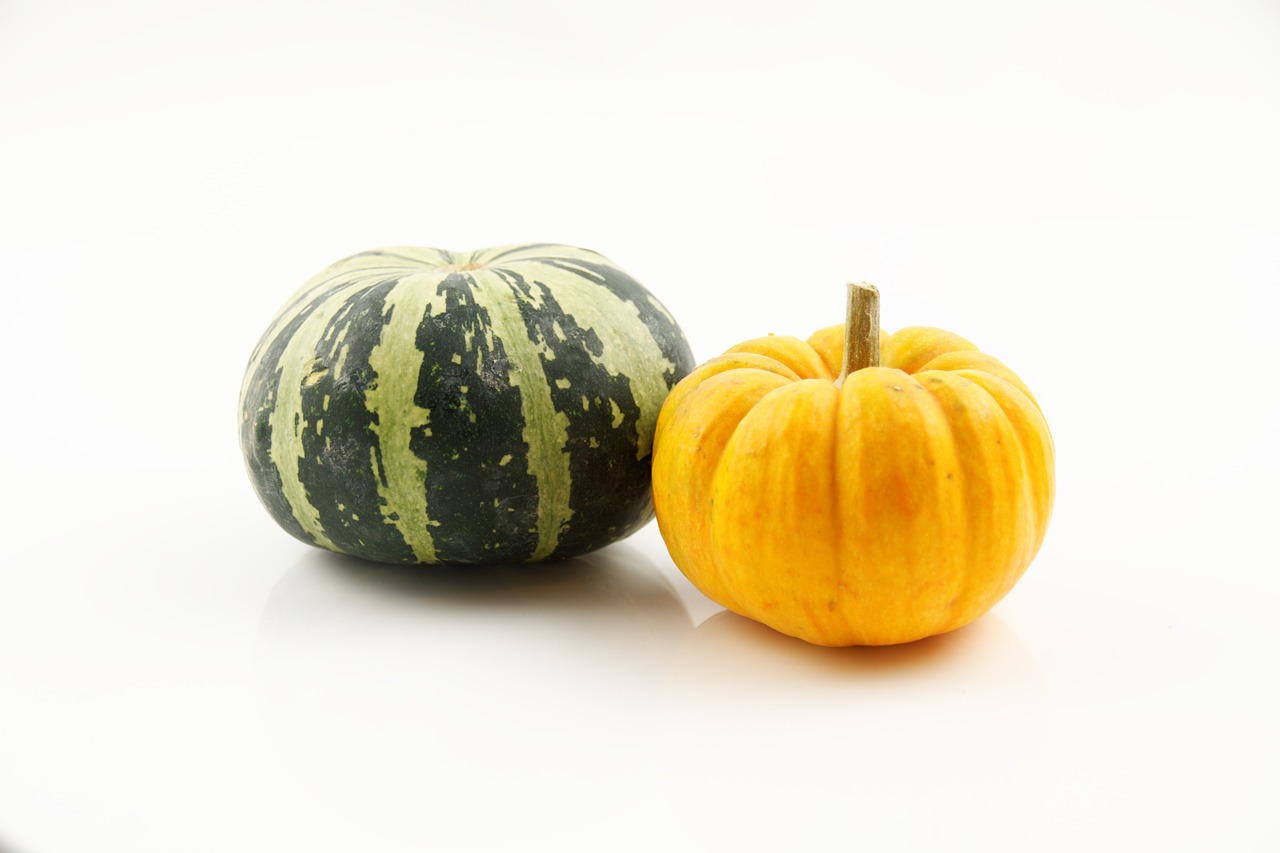 pumpkin vegetables autumn free photo