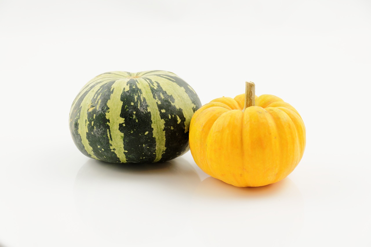 pumpkin vegetables autumn free photo