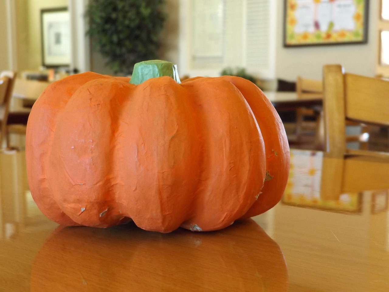 pumpkin harvest office free photo