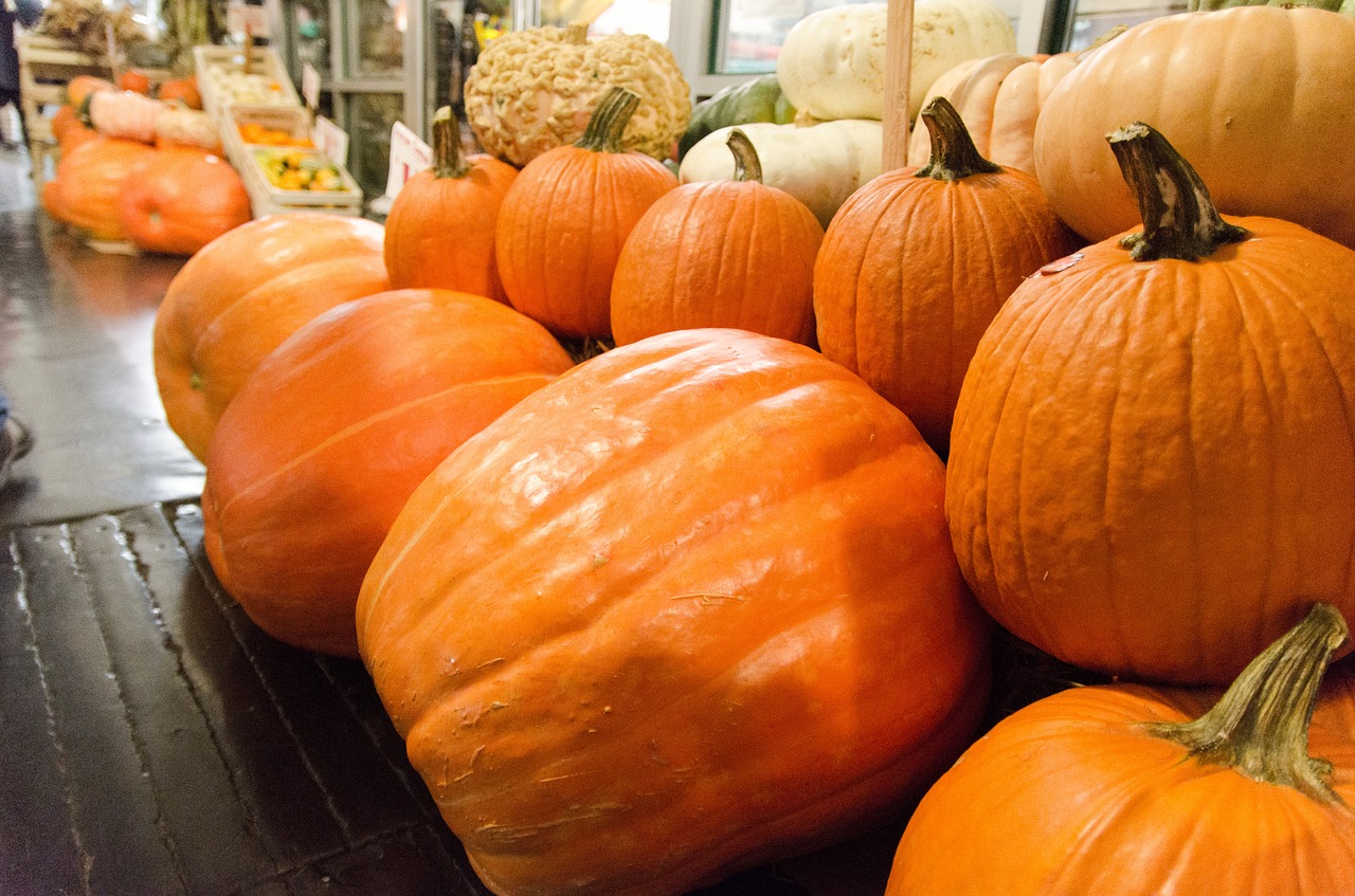 pumpkin market food free photo