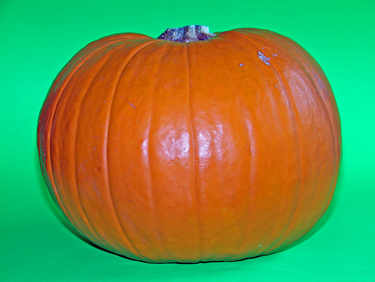 pumpkin autumn fall free photo