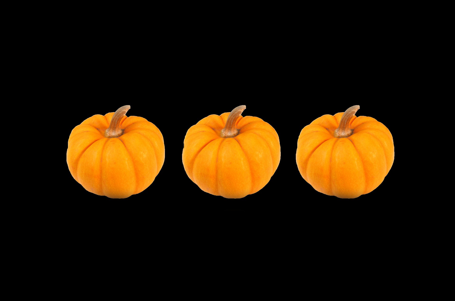 pumpkin halloween frame free photo