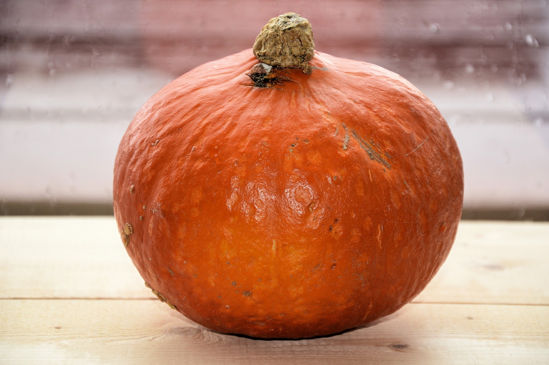 pumpkin calabash food free photo