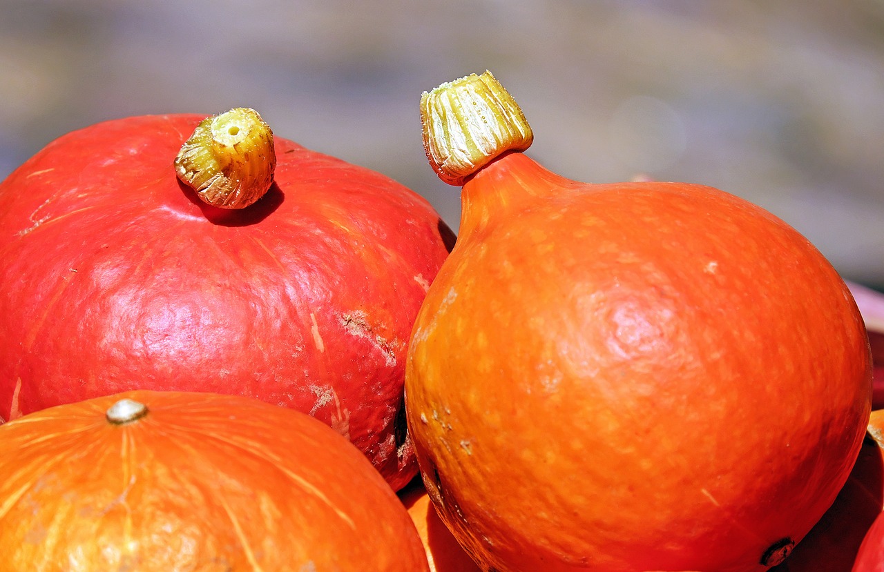 pumpkin hokkaidokürbis fruit free photo