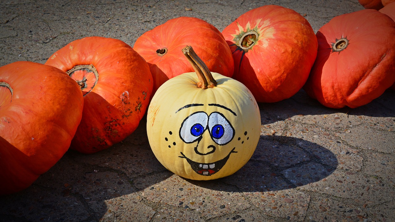 pumpkin funny painted free photo