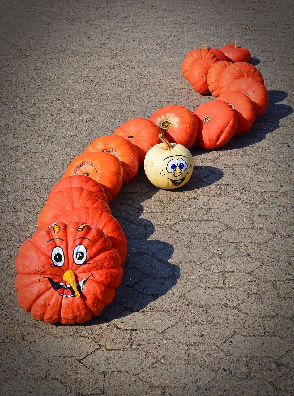 pumpkin funny painted free photo