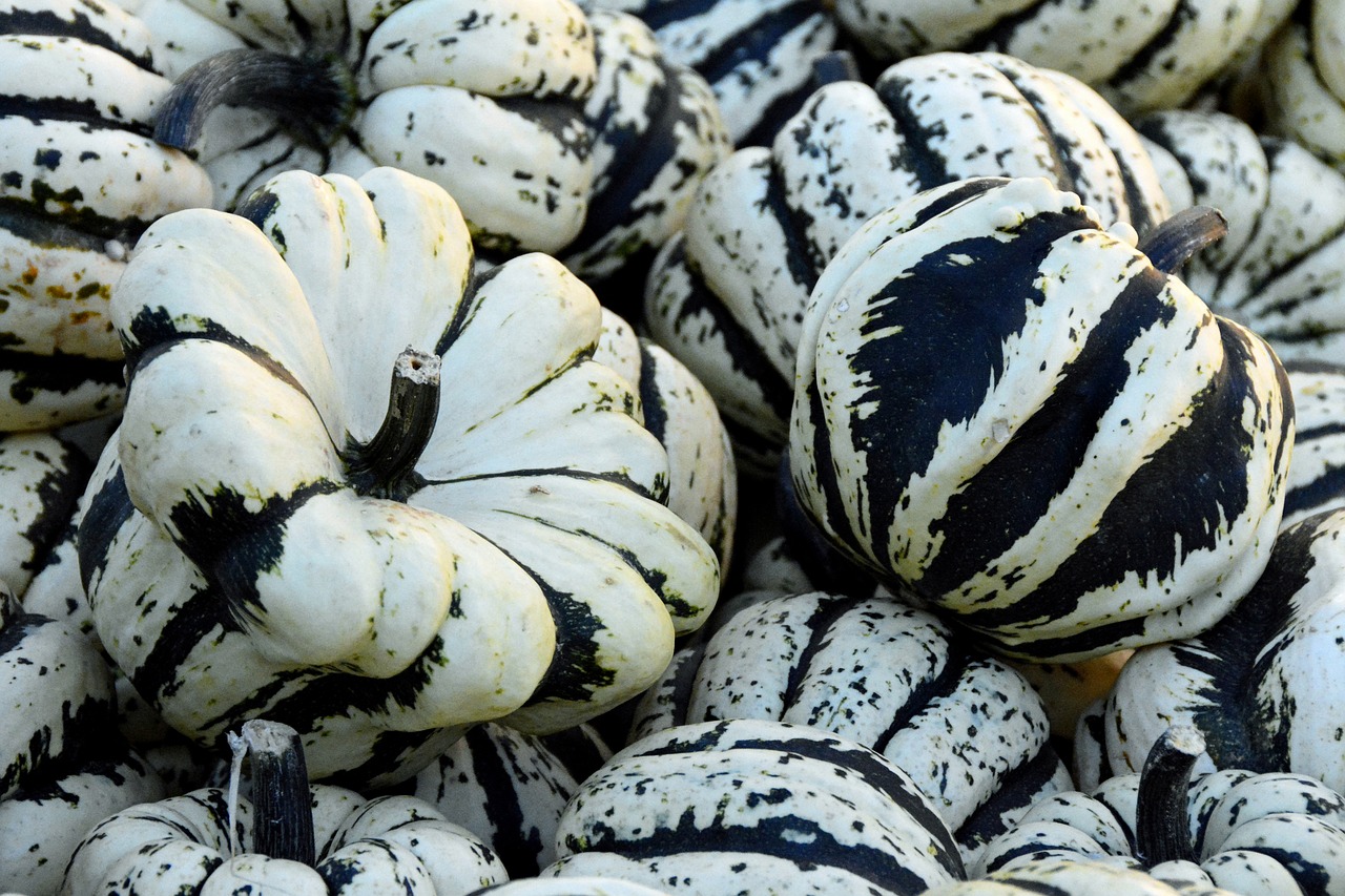 pumpkin gourd autumn free photo