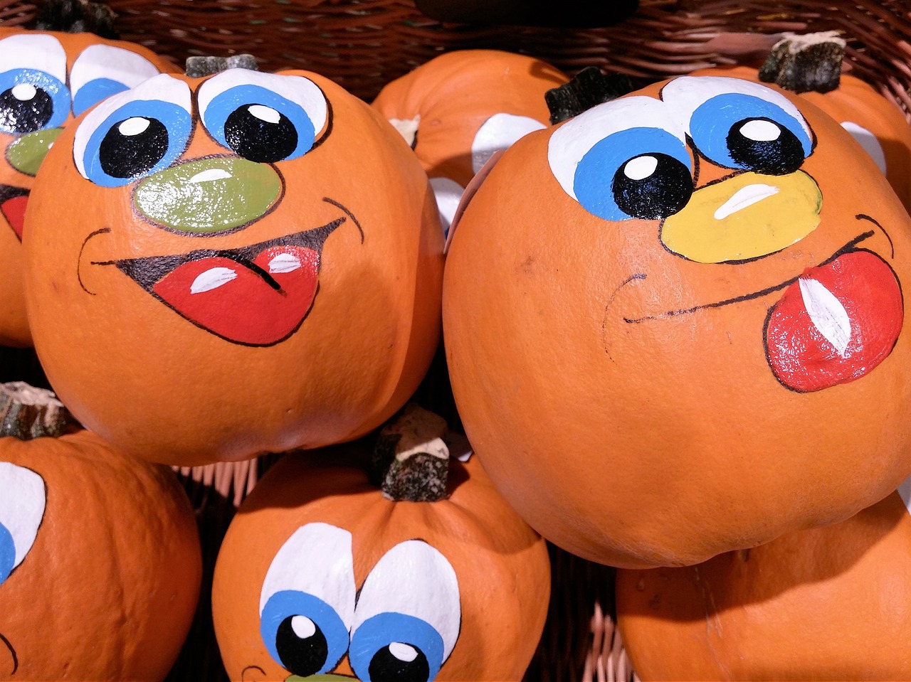 pumpkin autumn decorative squashes free photo
