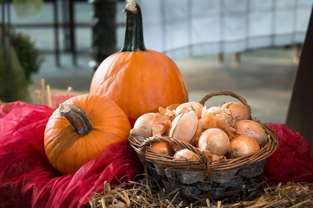 pumpkin onions thanksgiving free photo