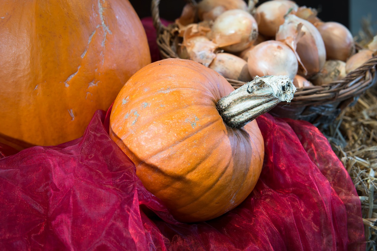 pumpkin onions thanksgiving free photo