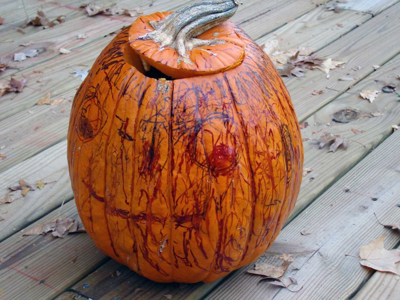 pumpkin halloween decorated free photo